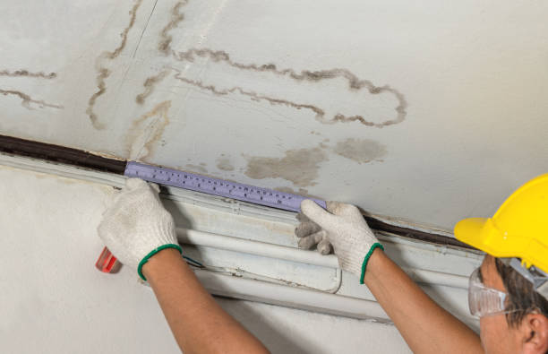 Reliable Water Removal contractor in Holly Springs, NC by Water Damage Irwin